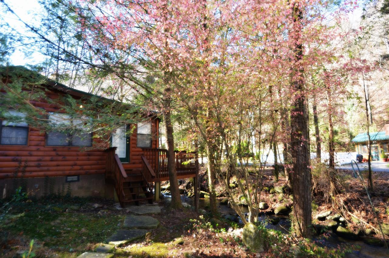 Chalet Village Little Creek Cabinヴィラ エクステリア 写真